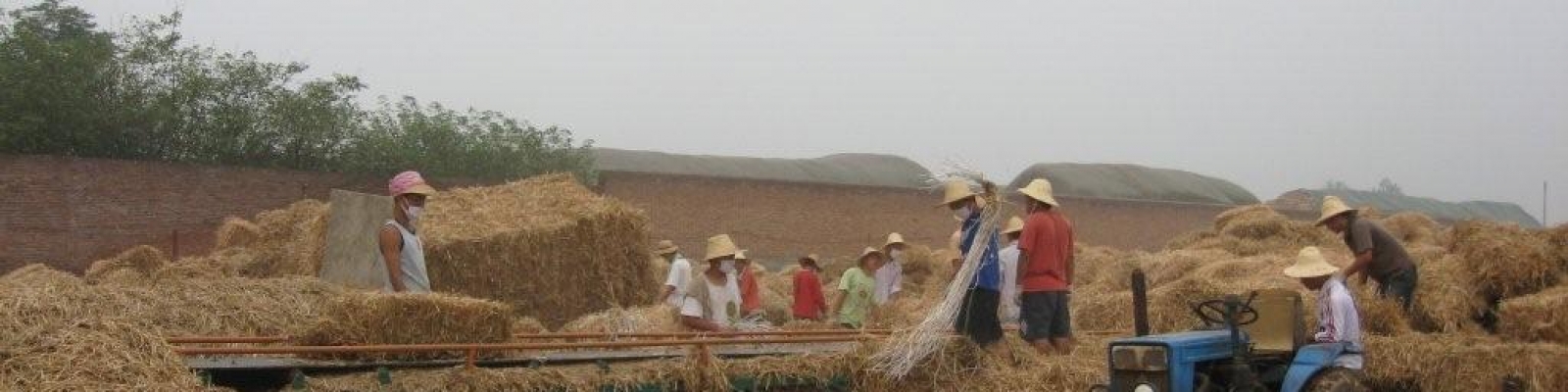 The production of fibreboards from straw